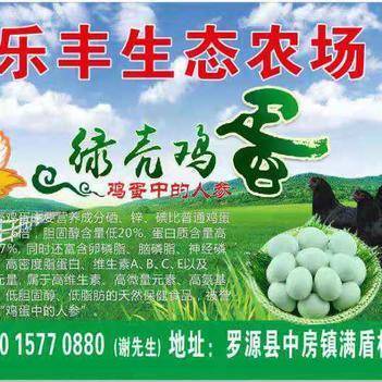 深耕源頭，鏈接餐桌 走進農產品批發供應商謝依燦的惠農網之路